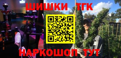 СК Камышлов