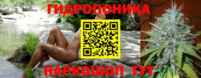 СК Камышлов