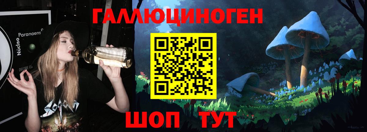 Псилоцибиновые грибы мицелий  Галлюциногенные грибы Psilocybine cubensis  Кудымкар  Вход с VPN 